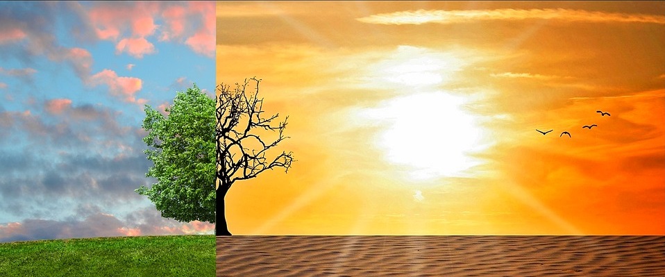 Cambio Climático en América Latina