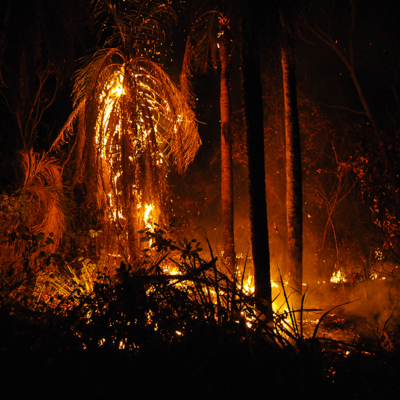 Incendio en Ñembi Guasu