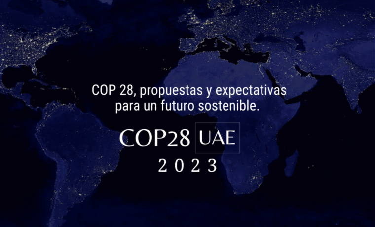 COP 28 (1)