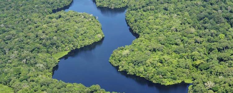 Brasil y la crisis de coherencia ambiental: ¿retrocesos en plena cuenta regresiva hacia la COP30?