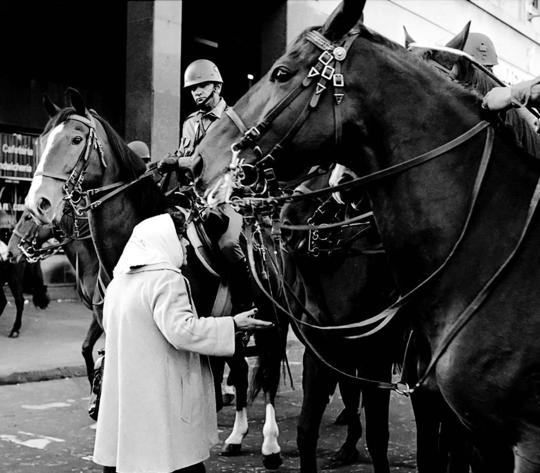 A 50 años del golpe, el autoritarismo va de la palabra a los cuerpos