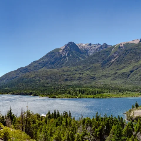 un-tesoro-escondido-en-la-patagonia-el-lago-mas-limpio-de-sudamerica-esta-en-argentina-1768746961024_1024