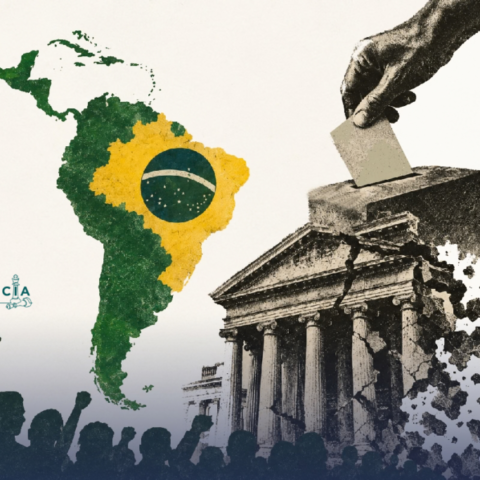 MED Brasil